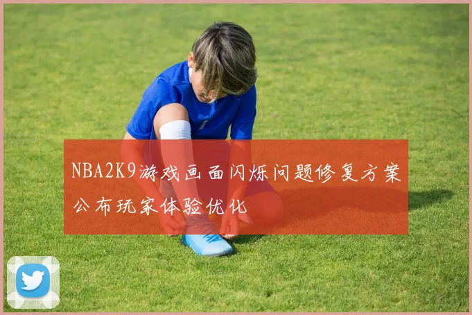 NBA2K9游戏画面闪烁问题修复方案公布玩家体验优化