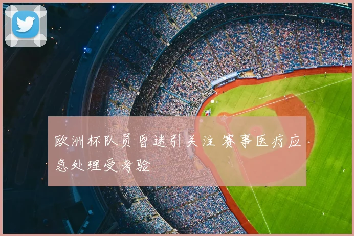 欧洲杯队员昏迷引关注 赛事医疗应急处理受考验