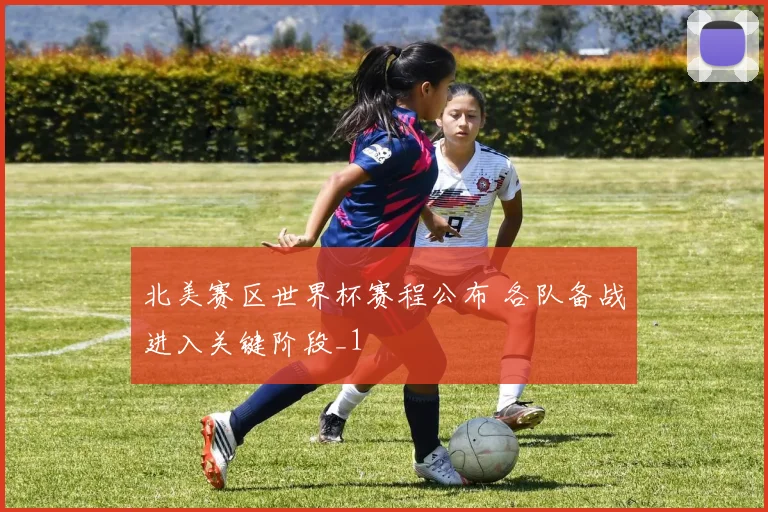 北美赛区世界杯赛程公布 各队备战进入关键阶段_1