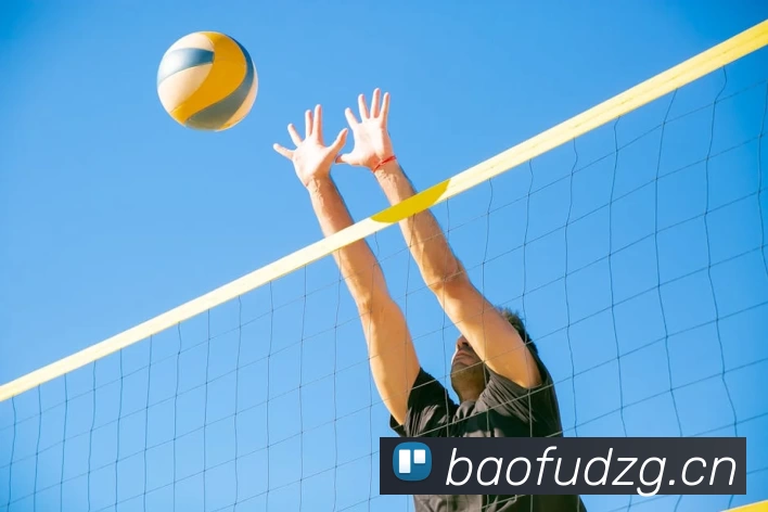 足球世界杯官网中文版平台生态图