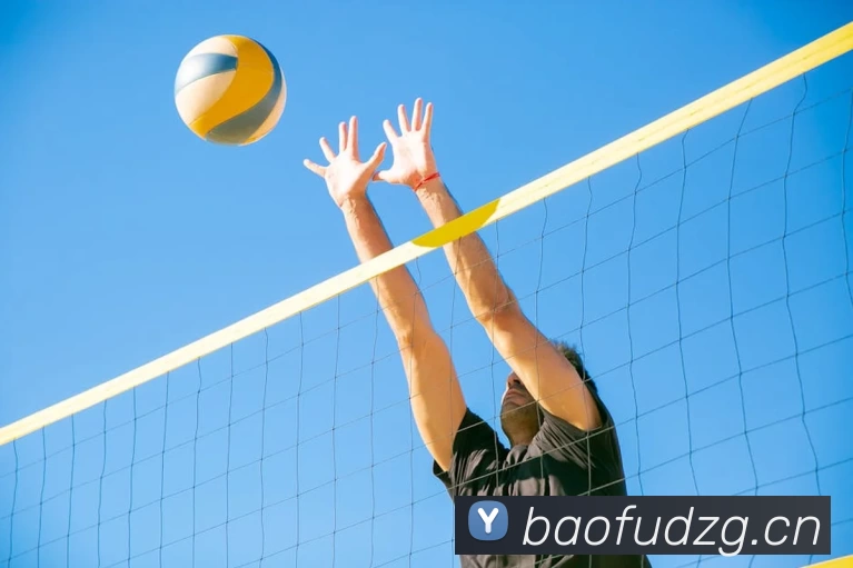 足球世界杯官网中文版APP 封面图